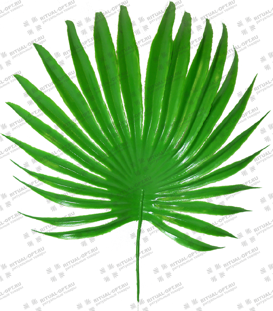 Ветка пластиковая "Финиковая пальма" h=26 см. (уп.20шт) (ВК9) 